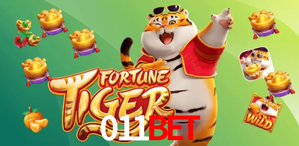 Experiência VIP 011bet